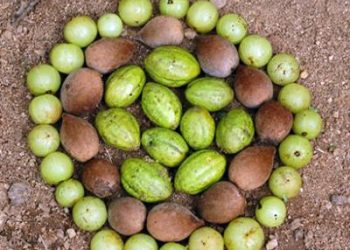 Sensible Winter Cleansing