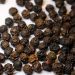 Medicinal Kitchen Part II: Spices