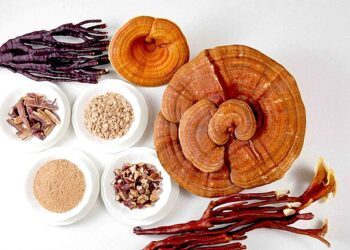Mushrooms for Immune Health